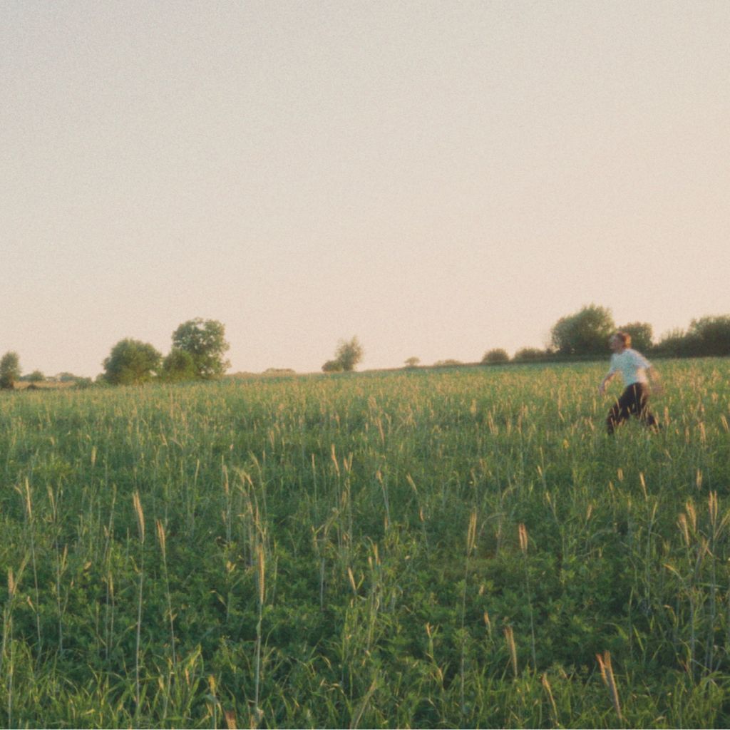 Cover of Window